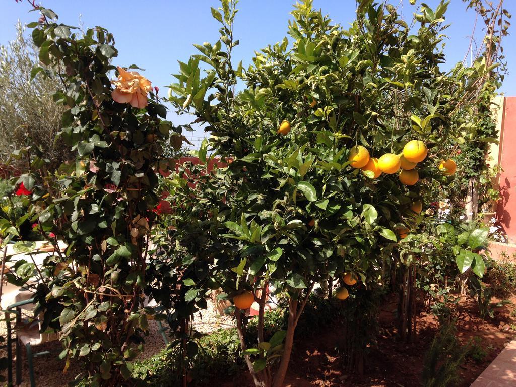 אווריר Villa Sunset B&B מראה חיצוני תמונה